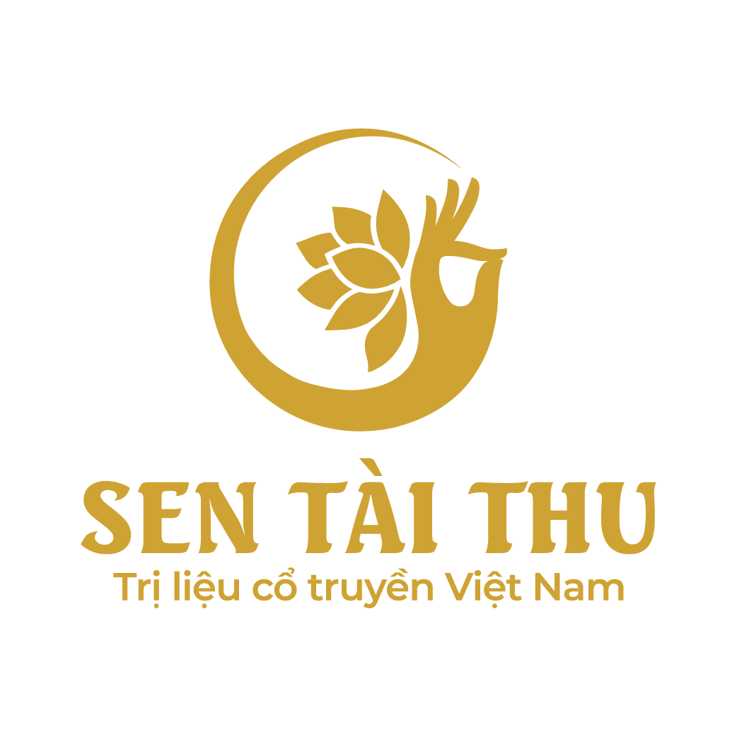 Logo STT